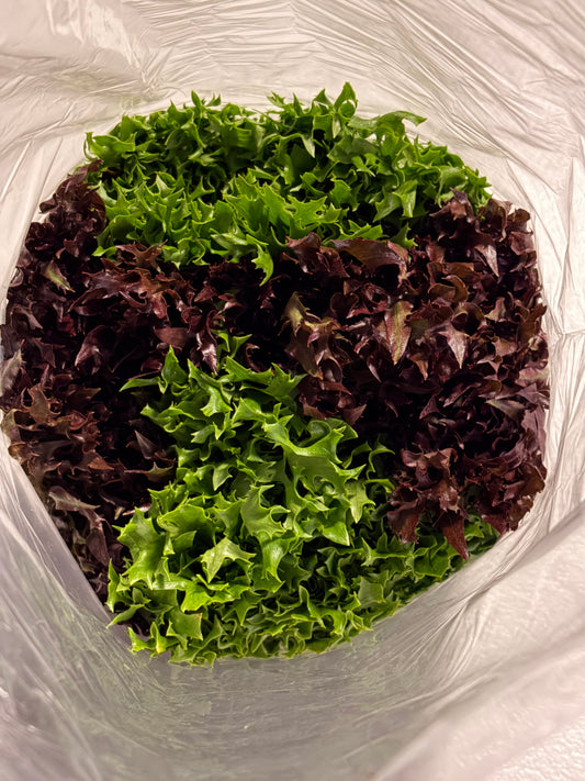 One-time Purchase Salad Mix