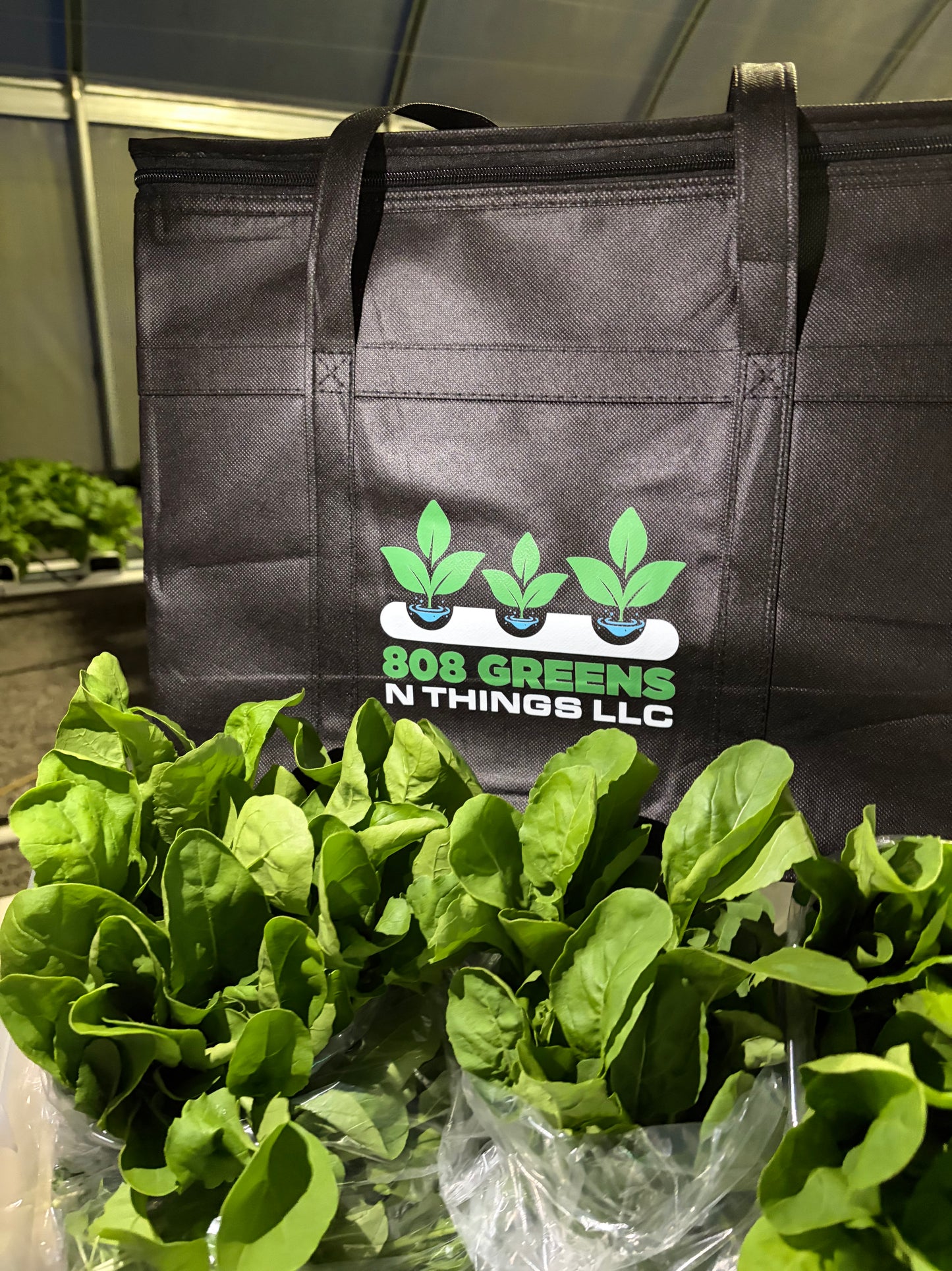One-time Purchase Salad Mix