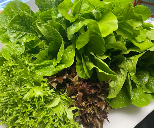 One-time Purchase Soup, Salad & Stir Fry Mix